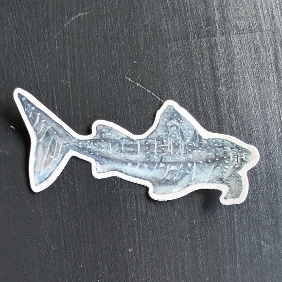 3" vinyl sticker: Star Speckled Whale Shark - Picture 2 of 2
